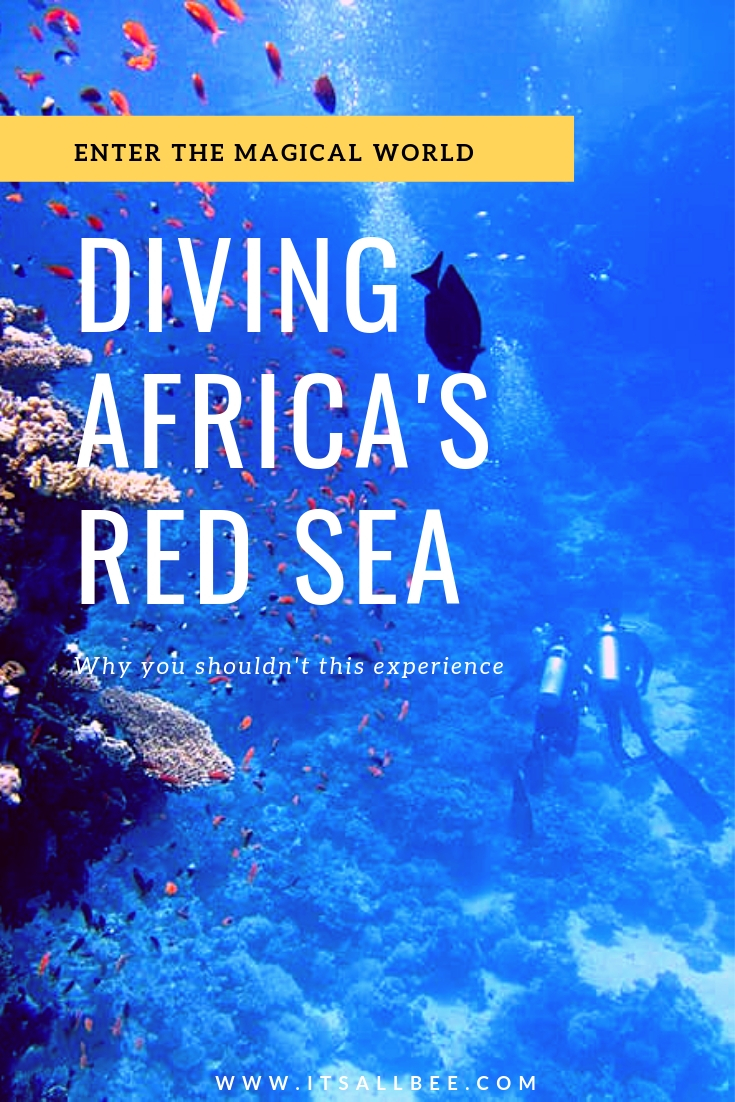 Diving In The Red Sea