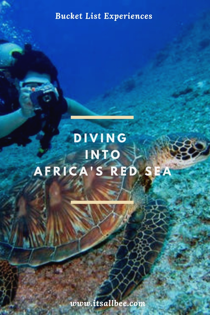 Diving In Africa