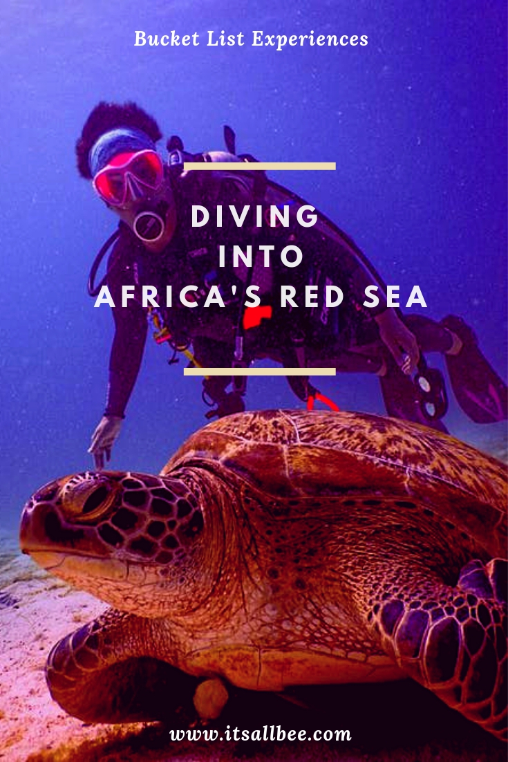 Red Sea Diving