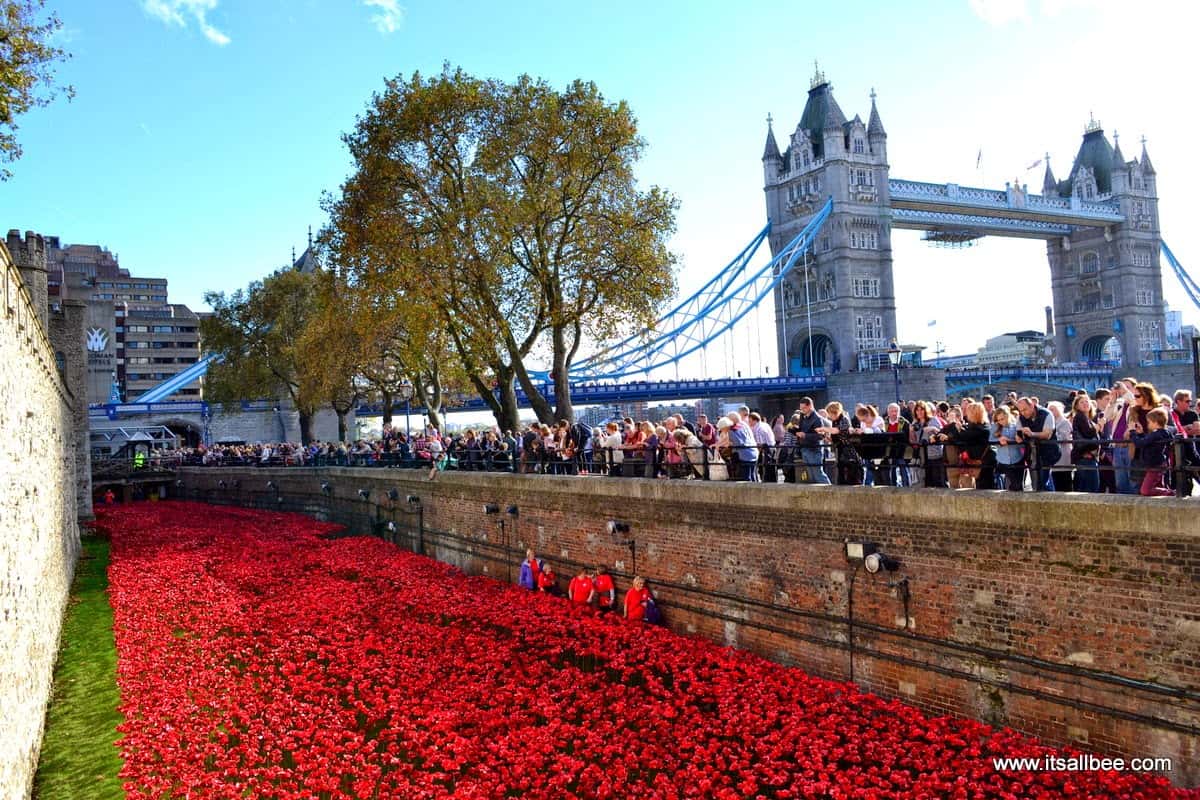 tower of london poppies | tower of london pictures