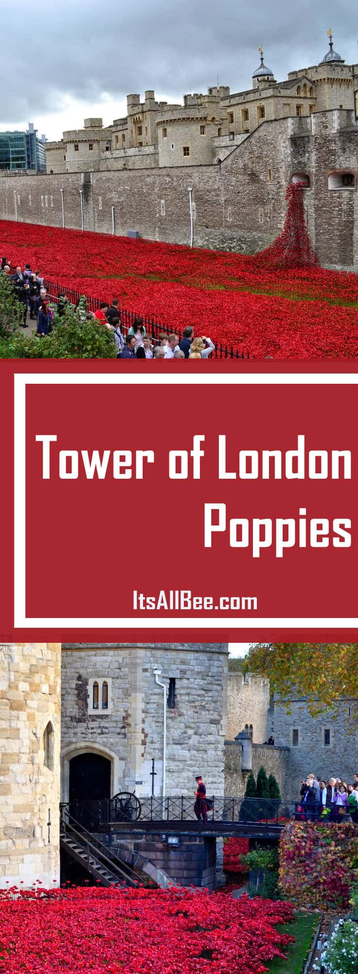 A Historical Exhibition | Tower Of London Poppies
