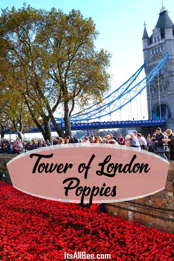 A Historical Exhibition | Tower Of London Poppies