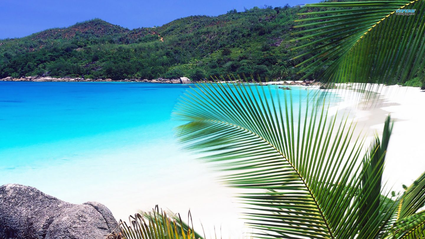 Best Beaches In Seychelles