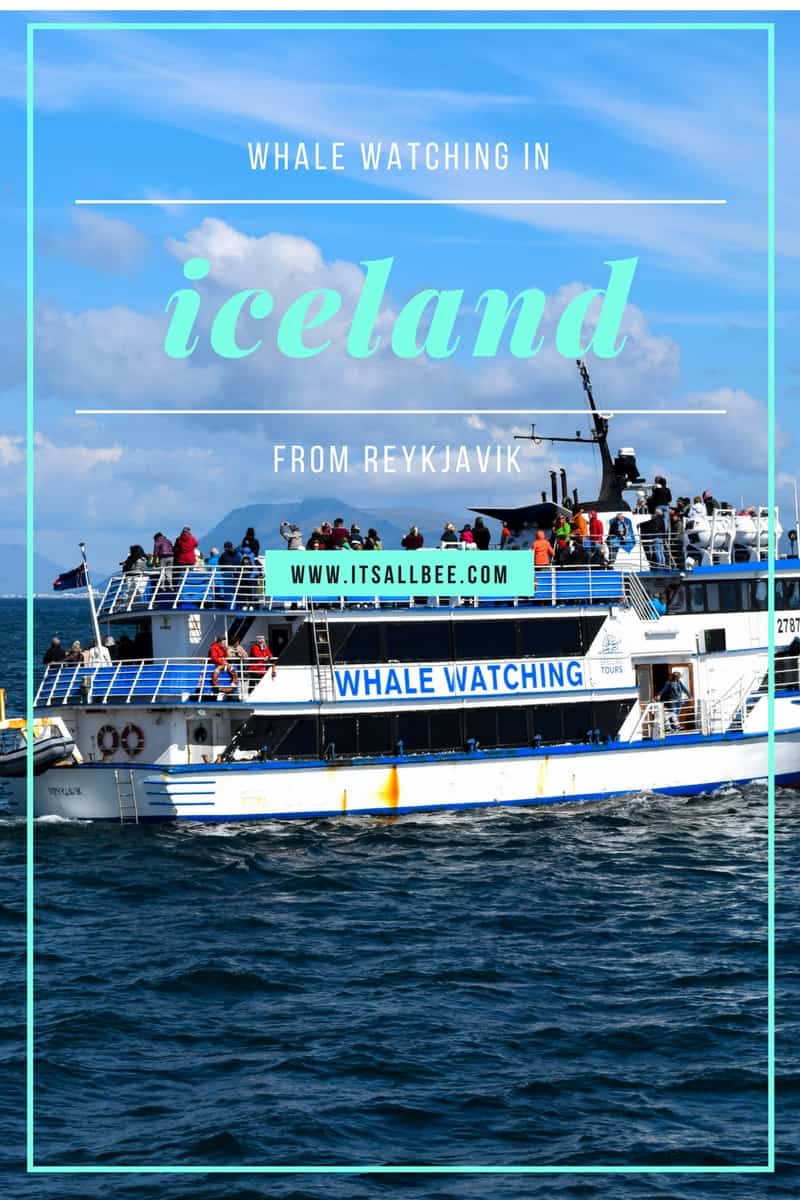 Reykjavik | Whale Watching In Iceland