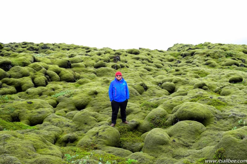 Iceland - Eldhraun - Volcanoe Lava Moss Field-3 Iceland - Eldhraun - Volcanoe Lava Moss Field-3