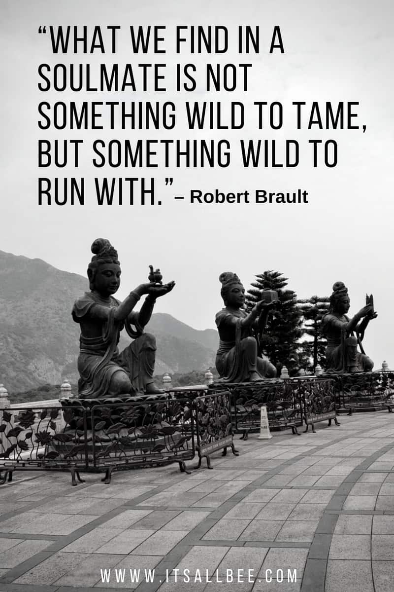 Romantic Travel Quotes For Couples | romantic couples in sweet couples | couples adventure travel blog | cute quotes about couples | quotes on couples in love | romantic quotes for couples romantic quotes for married couples | cute quotes for couples | love quotes about couples | love quotes on couples | nice quotes about couples best quotes for couples