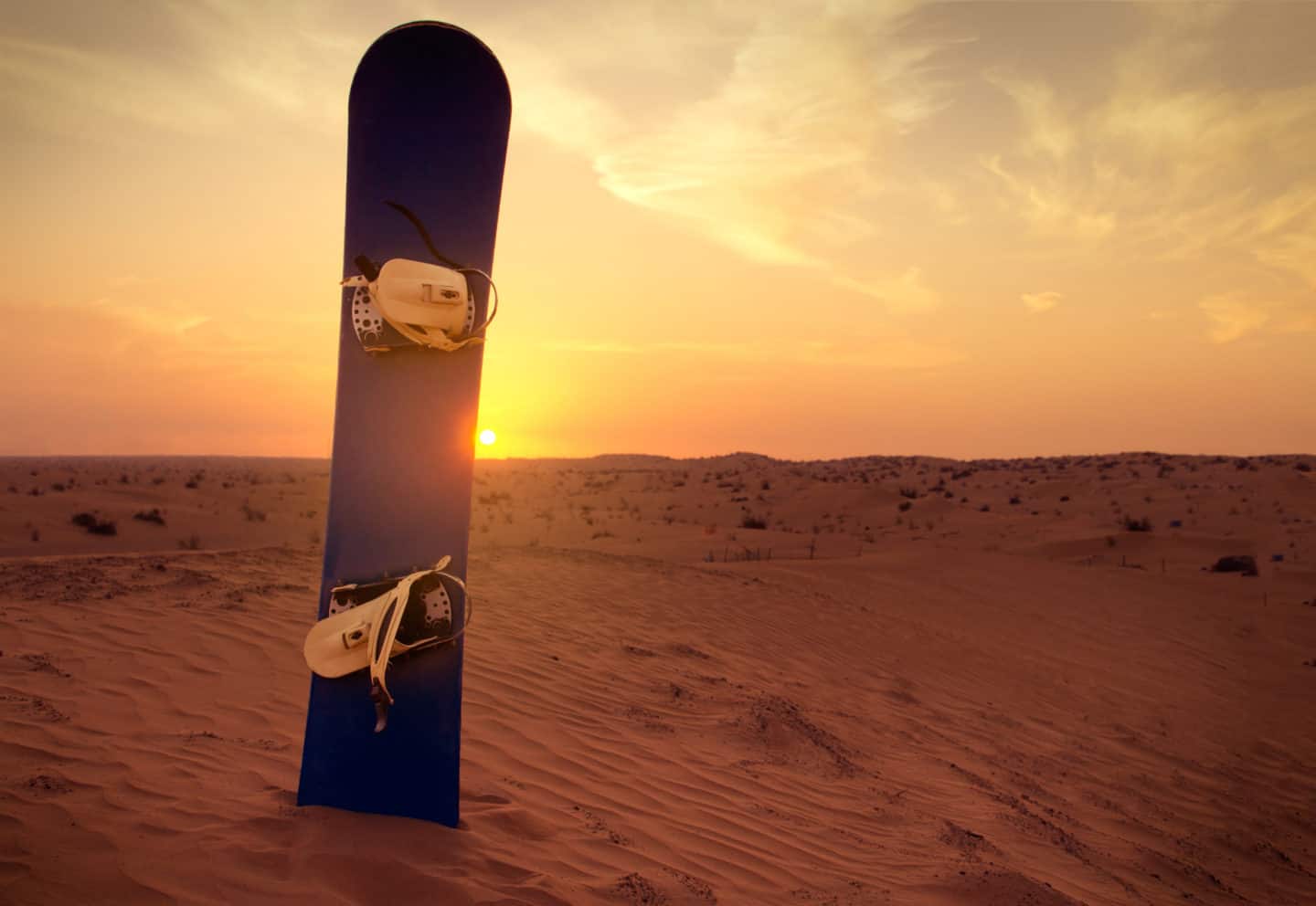  sandboarding dunes | sandboard foot straps | buy sandboard online | sandboarding prices | red dunes dubai