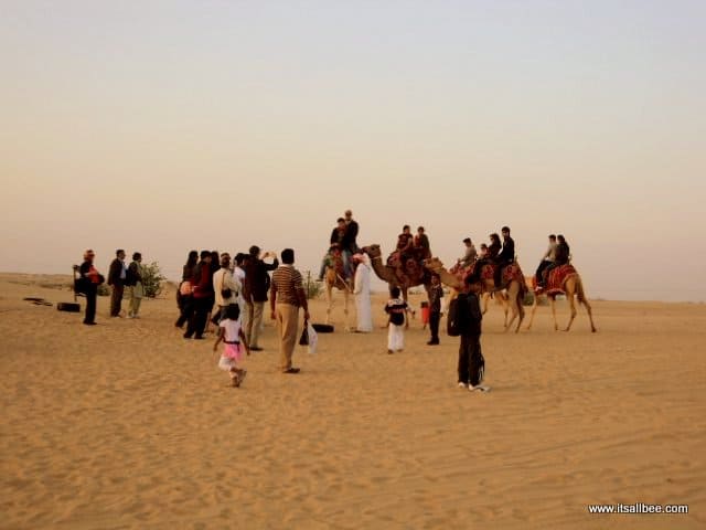 The Best Desert Safari in Abu Dhabi 