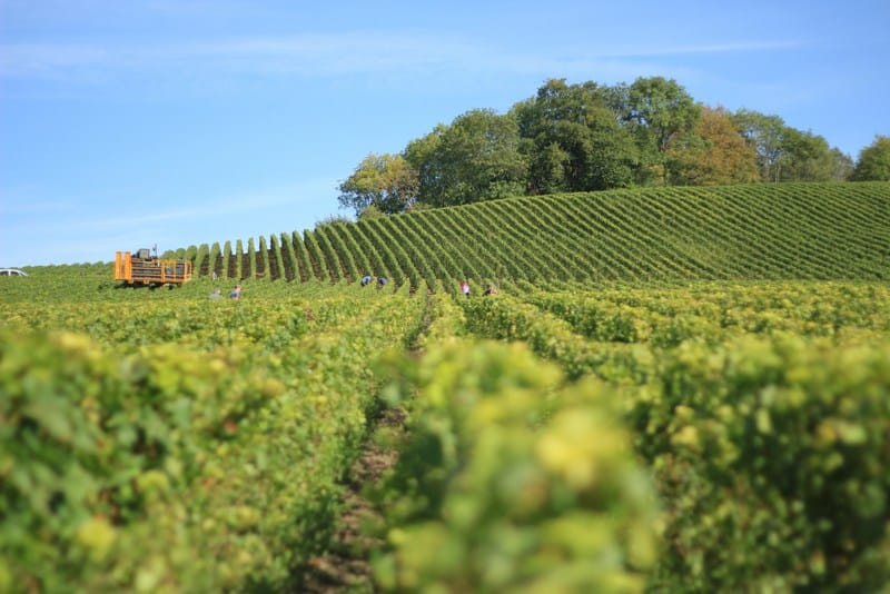 Get The Best Of The French Wine Capital With 10 Of The Best Bordeaux Tours