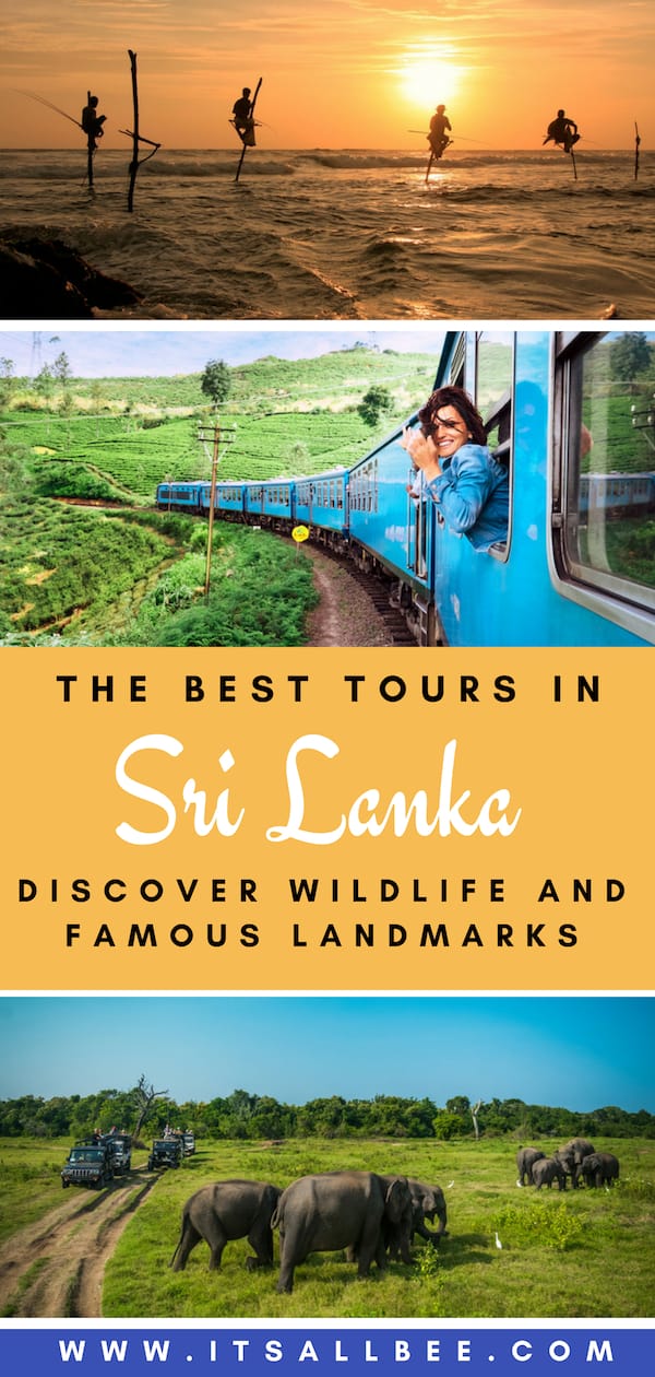 The Best Budget Tours In Sri Lanka | yala national park, nuwara eliya, arugam bay, sigiriya, 2 weeks in sri lanka budget and budget for sri lanka trip