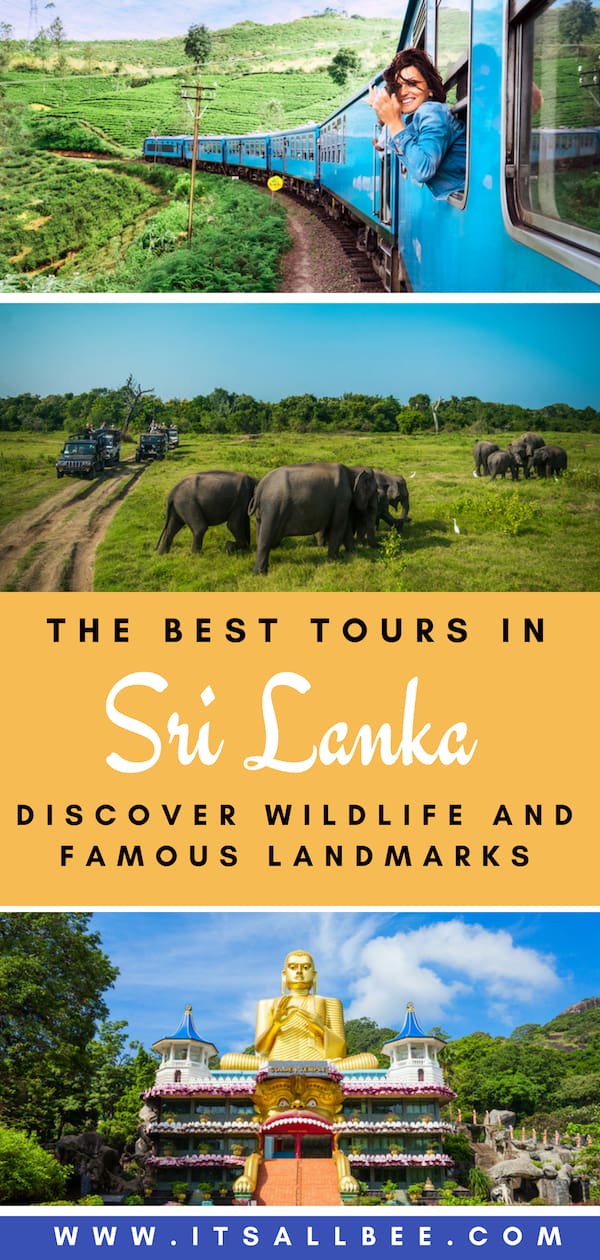 The Best Budget Tours In Sri Lanka | yala national park, nuwara eliya, arugam bay, sigiriya and cheap tour packages from sri lanka