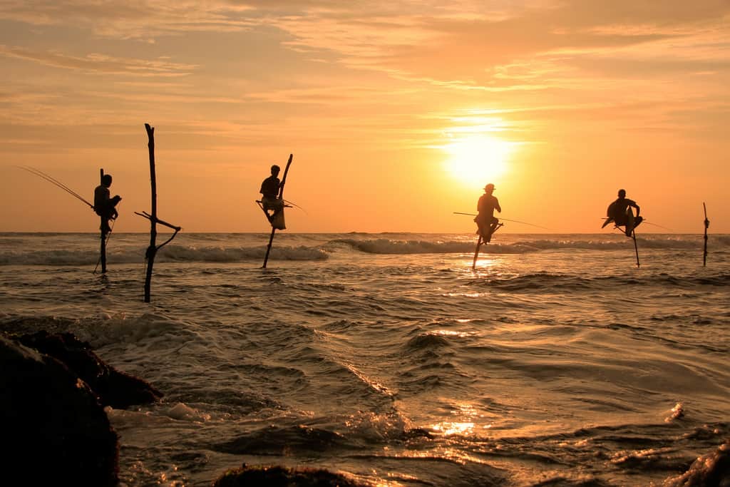 Silhouette of a stick fishermen at sunset, Unawatuna, Sri Lanka - Budget Travel Sri Lanka