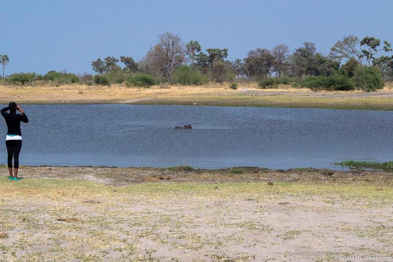 The Best Time To Visit Botswana & Essential Travel Tips