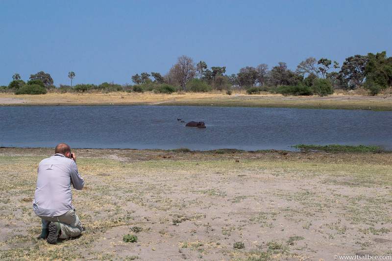 The Best Time To Visit Botswana & Essential Travel Tips