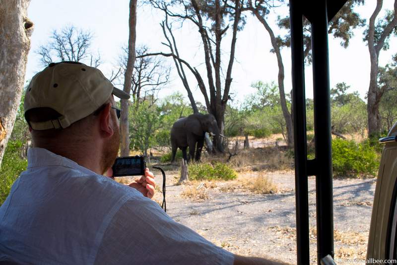 The Best Time To Visit Botswana & Essential Travel Tips