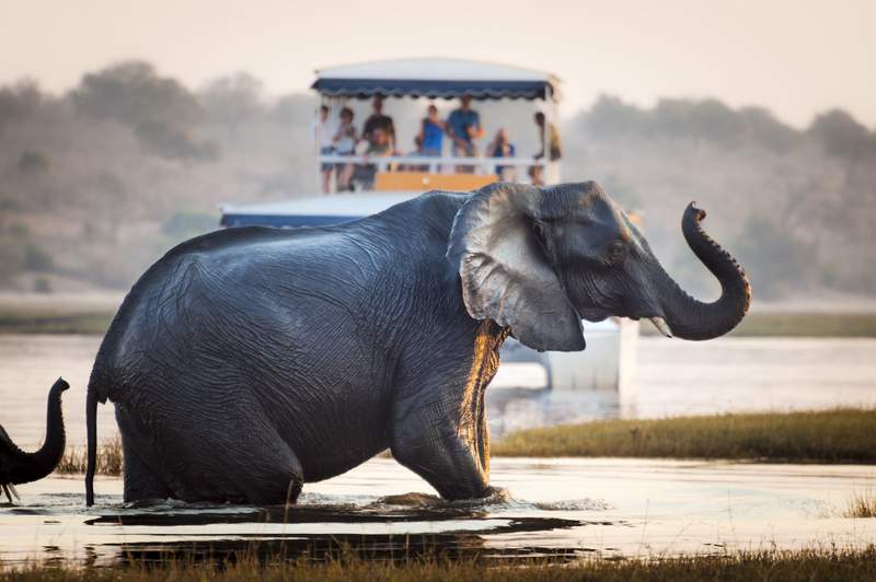 Things to do in Maun Botswana - Maun River Cruise