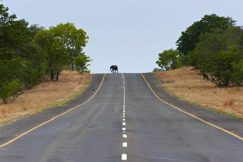 Road trip in Botswana - Everything You Need To Know About Driving In Botswana