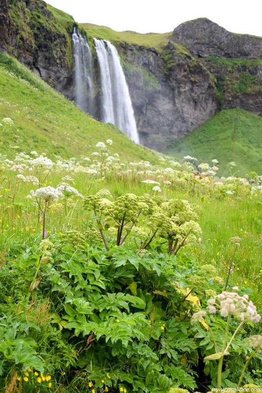 11 Of The Best Waterfalls In Iceland Too Stunning To Miss!