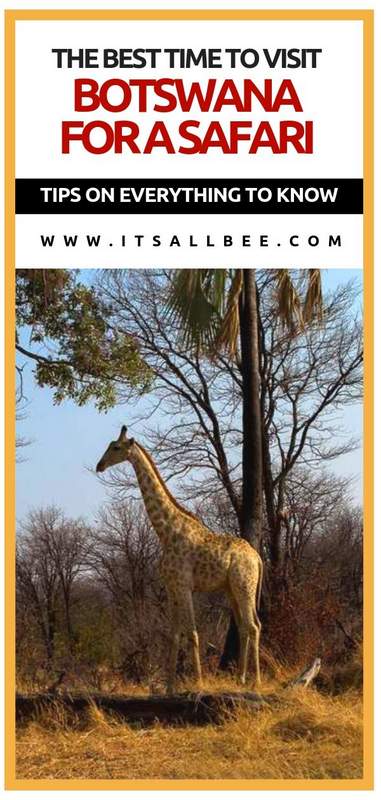 The Best Time To Visit Botswana & Essential Travel Tips