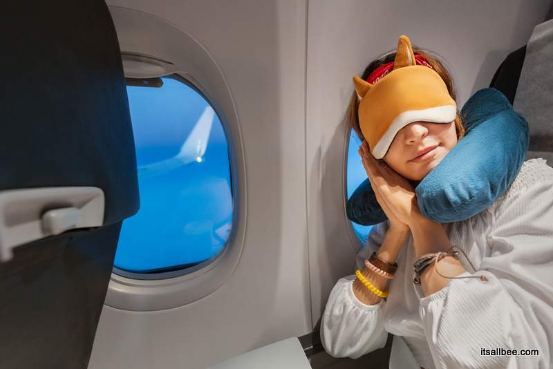  best travel pillow for long haul flights |down travel pillow