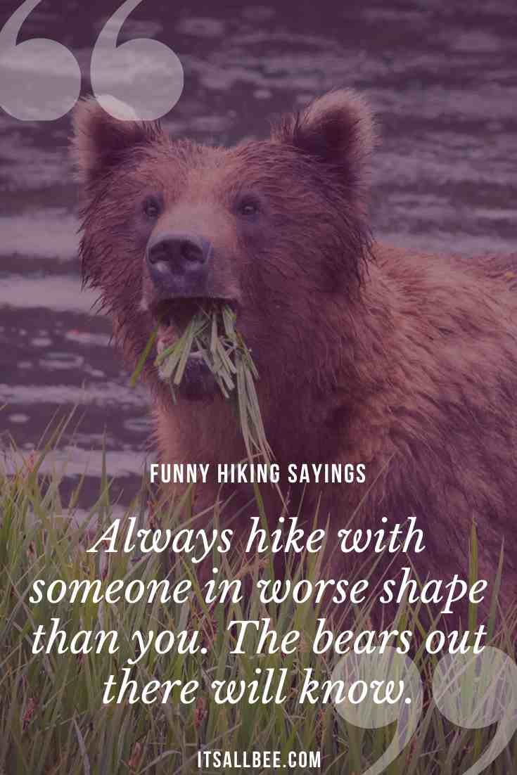 at retfærdiggøre Wardian sag Oversætte 31 Funny Hiking Quotes & Sayings For Nature Lovers - ItsAllBee | Solo  Travel & Adventure Tips