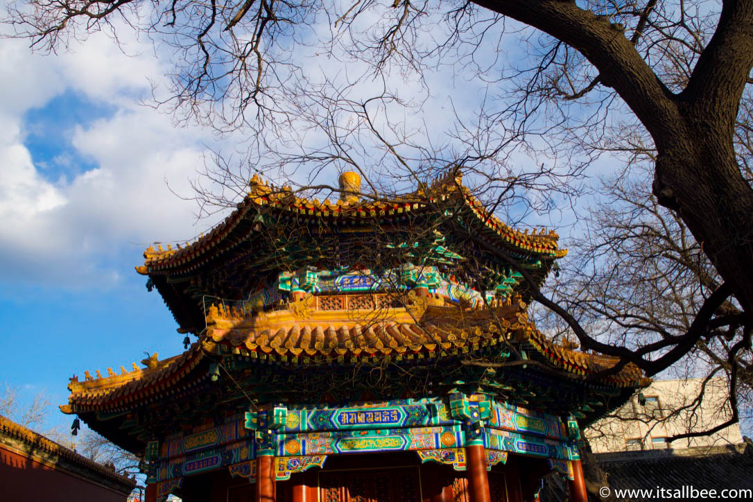 Beijing Ching - Things to do in Beijing in winter. Beijing winter travel guide - tiananmen square - summer palace - great wall - forbidden city - lama temple - Beijing food - #china #beijing #winter #beijing travel tips - Beijing travel guide #traveltips #asia #adventure 