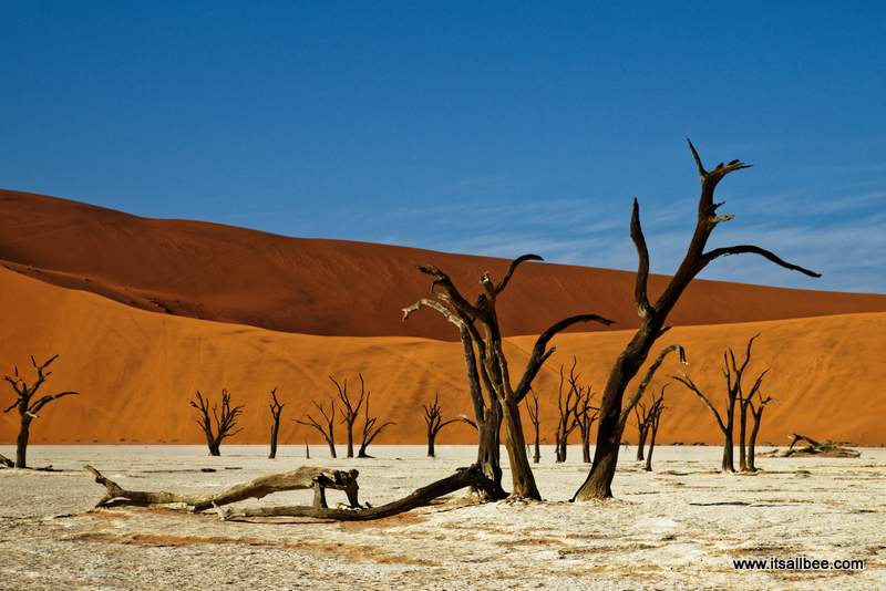 Amazing places to visit in Namibia - Tops tips on the best places to visit in Namibia Africa - From Deadvlei, Sossusvlei, Himba people, Skeleton Coast, Etosha Park, Walvis Bay, Swakopmund, Dune 45 and experience sandboarding and dune bashing, kayaking the Atlantic, and amazing safari parks. #africa #traveltip #adventure #sandboarding #flights #packingtips www.itsallbee.com