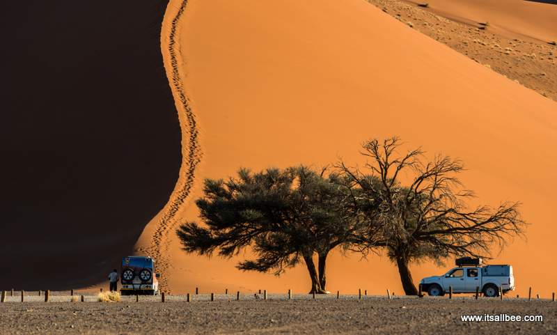 Amazing places to visit in Namibia - Tops tips on the best places to visit in Namibia Africa - From Deadvlei, Sossusvlei, Himba people, Skeleton Coast, Etosha Park, Walvis Bay, Swakopmund, Dune 45 and experience sandboarding and dune bashing, kayaking the Atlantic, and amazing safari parks. #africa #traveltip #adventure #sandboarding #flights #packingtips www.itsallbee.com