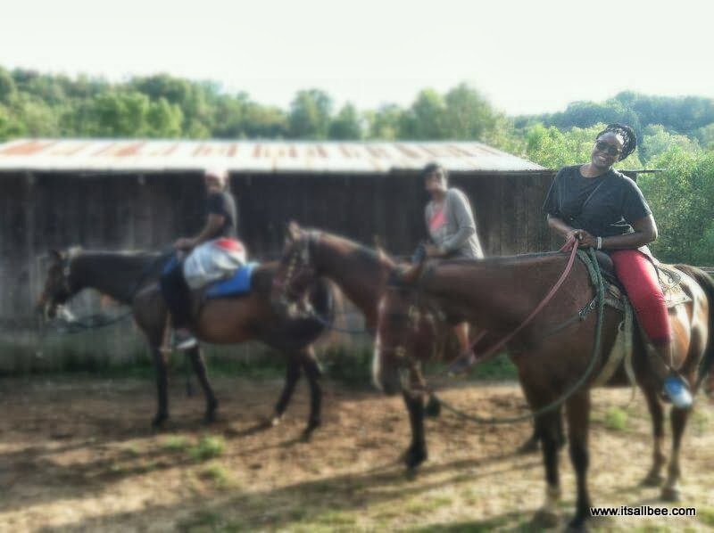 Happy Trails Horseback Rides