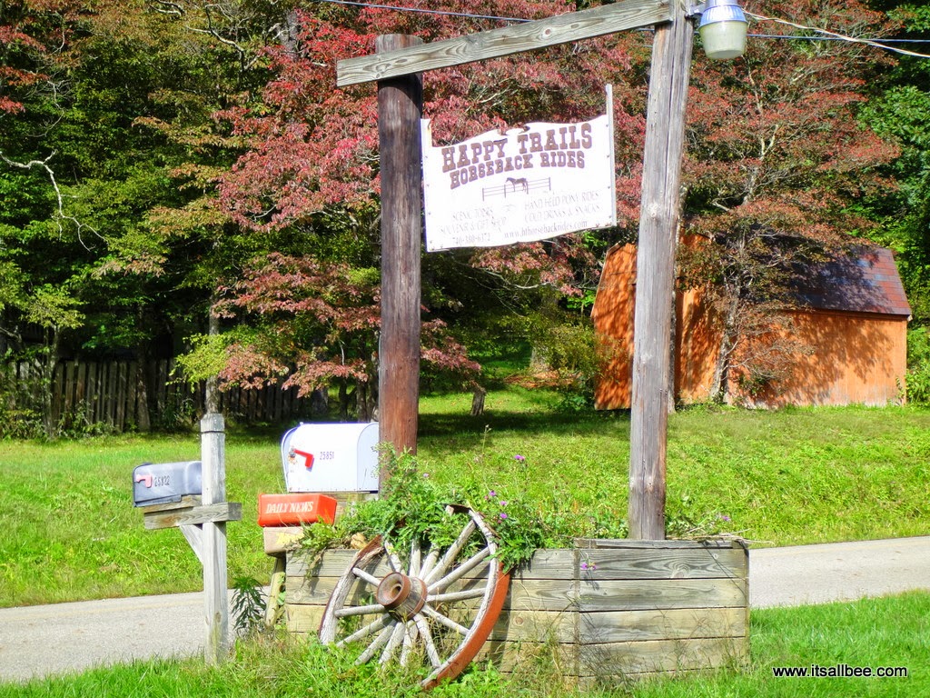 Happy Trails Horseback Rides