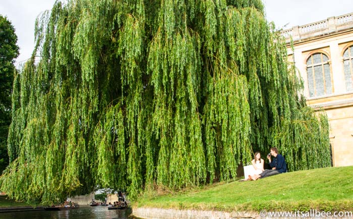 | Cambridge Punting | Cambridge One Day your | London Cambridge Train | Places To Visit In Cambridge | Cambridge Activities | Cambridge Day Trip Itinerary | What To See In Cambridge | A Visit To Cambridge