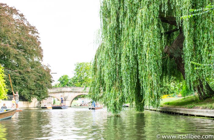 | Cambridge Punting | Cambridge One Day your | London Cambridge Train | Places To Visit In Cambridge | Cambridge Activities | Cambridge Day Trip Itinerary | What To See In Cambridge | A Visit To Cambridge