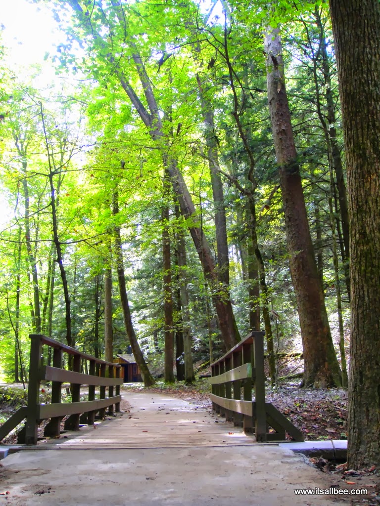 | Hiking Near Columbus Ohio | Hiking In Columbus Ohio | Hocking Hills State Park | Things To Do In Hocking Hills Ohio | Hocking Hills Ohio Photography 