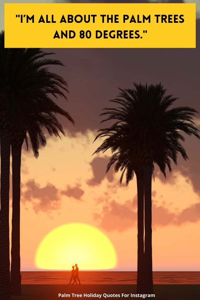 Palm Tree Quotes For Instagram ItsAllBee Solo Travel & Adventure Tips