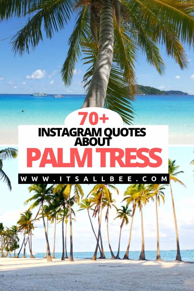 Palm Tree Quotes For Instagram ItsAllBee Solo Travel & Adventure Tips