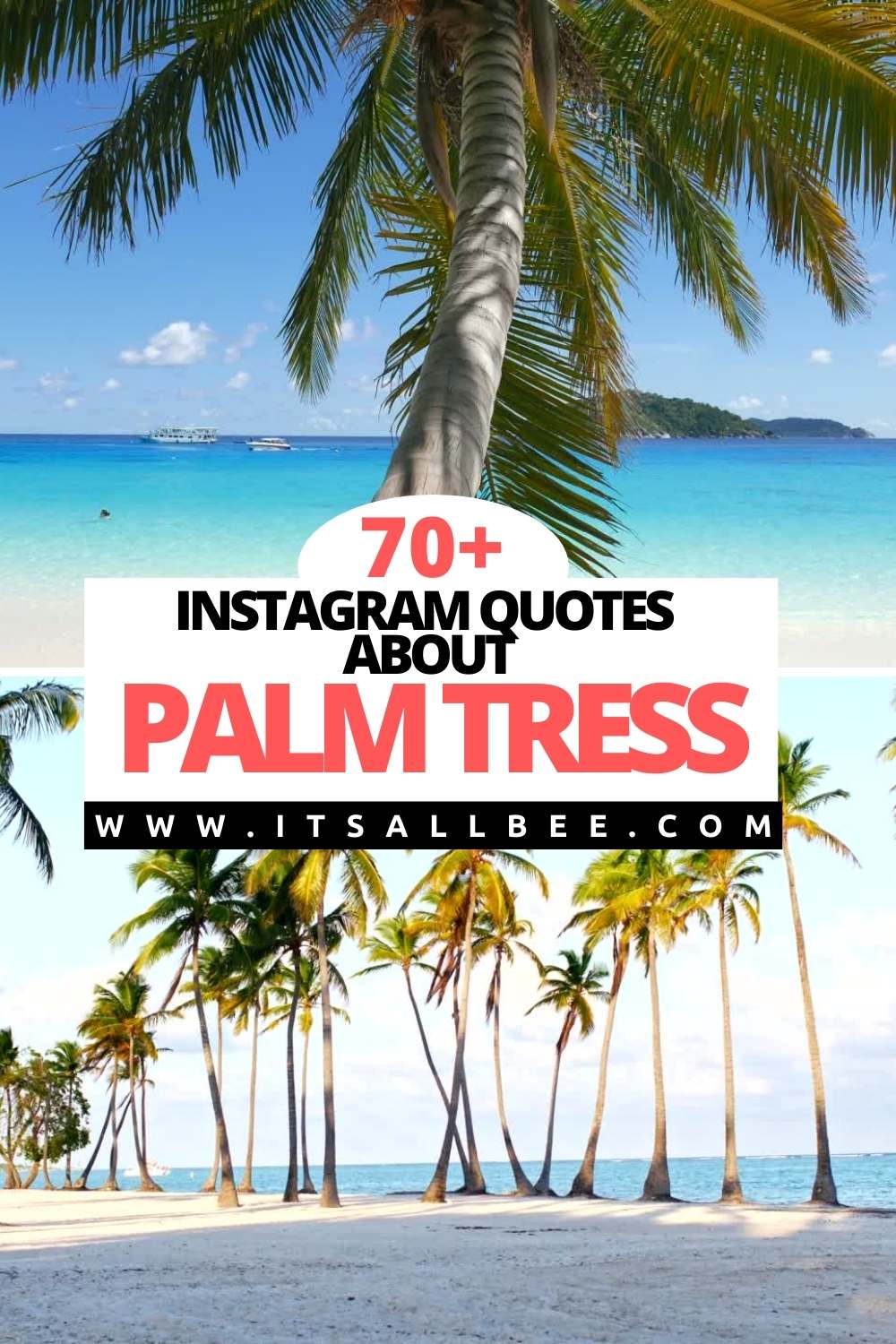 Palm Tree Quotes For Instagram | ItsAllBee | Solo Travel & Adventure Tips