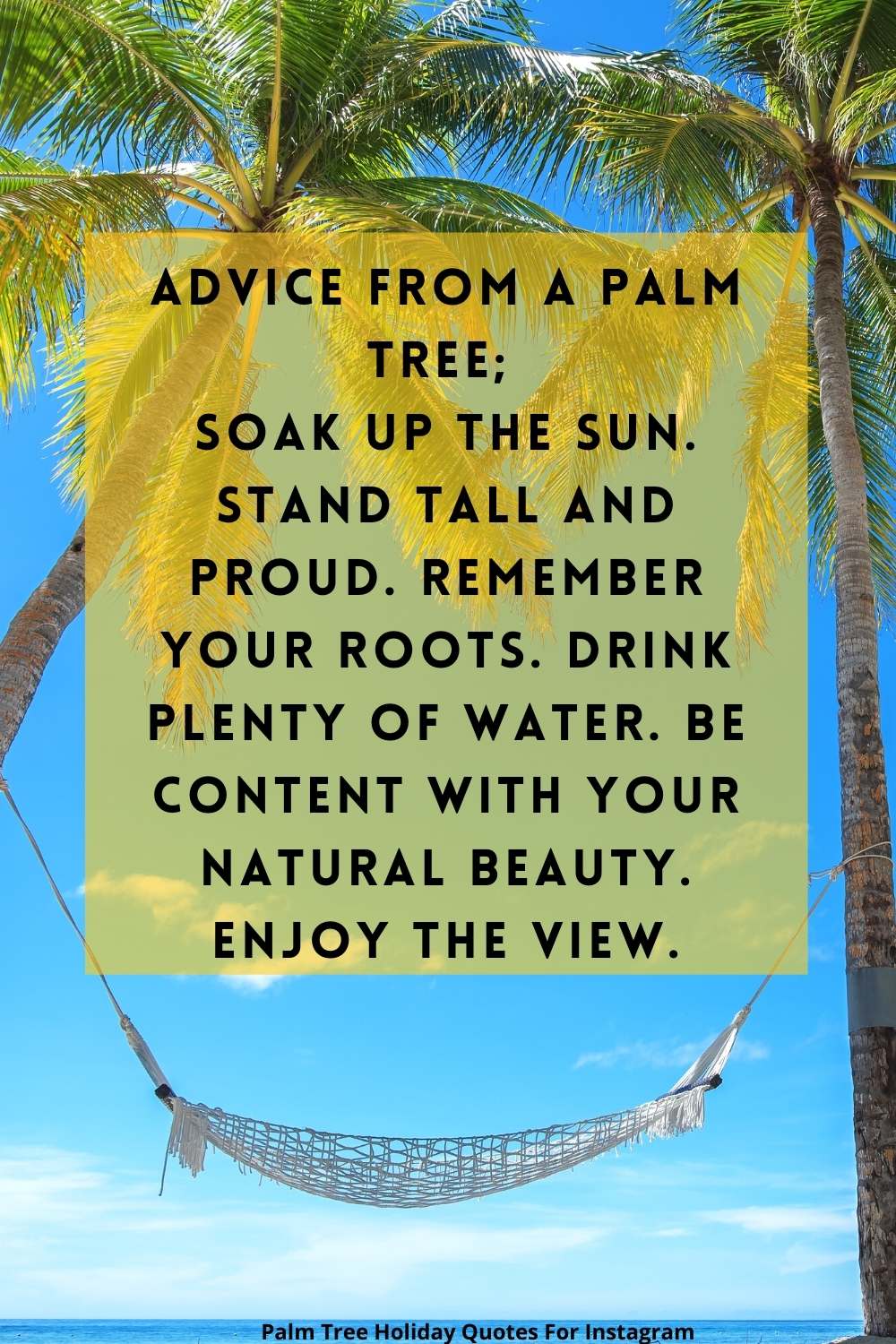 Palm Tree Quotes For Instagram | Palm Tree Quotes Good Vibes