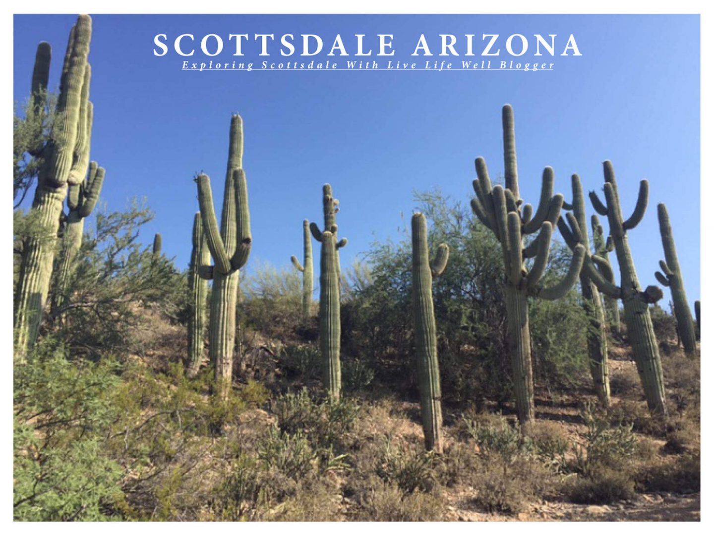 A Local's Guide To Scottsdale With Live Life Well Blogger