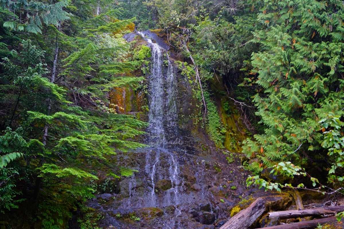 Guide to the best day hikes near Seattle. Perfect for rainy days, summer, winter with easy to moderate trails and hikes in Washington. Seattle Hikes | Hikes in Seattle | Hikes Around Seattle | Washington Hikes Near Seattle | Hikes Near Seattle Area | Waterfall Hikes Near Seattle | Winter Hikes Near Seattle | Winter Hikes Seattle