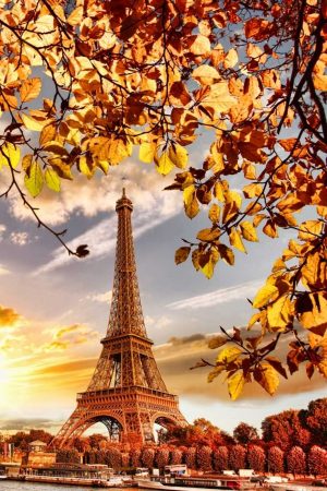 67 Best Quotes About Paris - ItsAllBee | Solo Travel & Adventure Tips