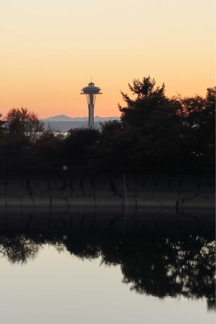 Best Viewpoints In Seattle | Best Viewpoint In Seattle | Seattle City View | Seattle Scenic Views | Parks In Seattle With A View | Seattle Viewpoints | Best View of Seattle Skyline | Seattle Views | Best Views In Seattle | Scenic Places In Seattle | Seattle Skyline Mt Rainer | Seattle Scenic Spots | Nice Viewpoint | Space Needle | Columbia Center | The Great Wheel | Volunteer Park Water Tower | Waterfront Park | Mount Rainier National Park | Smith Tower Viewpoint 