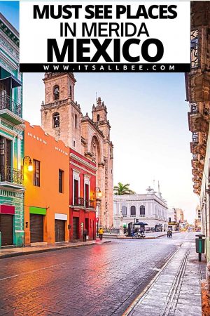 A local's guide to things to do in Merida, Mexico. From markets to beaches, cute neighbourhoods and unique attractions not to miss.